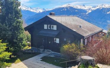 Chalet 4.5 Zimmer - image - 3