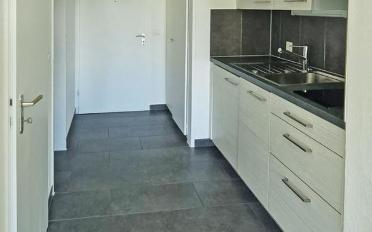Apartment 1 room - image - 8