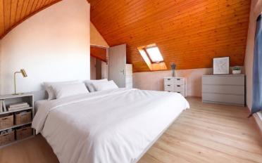 Dachwohnung 4.5 Zimmer - image - 5