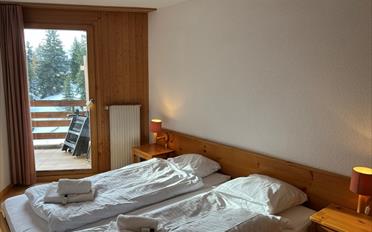 Wohnung 3 Zimmer - image - 11