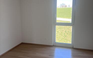 Appartement 5.5 pièces - image - 5