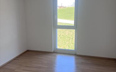Appartement 5.5 pièces - image - 7