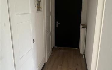 Apartment 3.5 rooms - image - 13