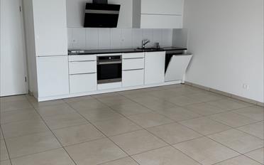 Wohnung 2.5 Zimmer - image - 7