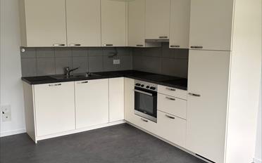 Wohnung 4.5 Zimmer - image - 2