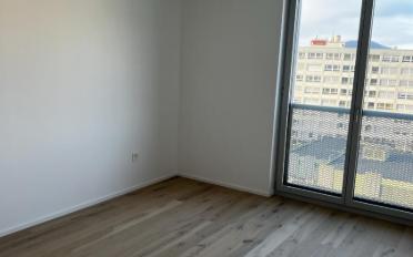 Dachwohnung 4.5 Zimmer - image - 13