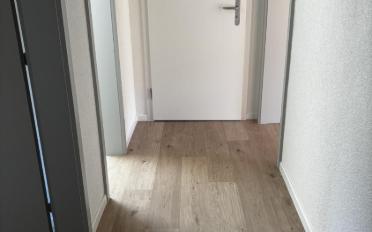 Chambre 2 pièces - image - 5