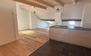 Loft 1.5 Zimmer - image - 2