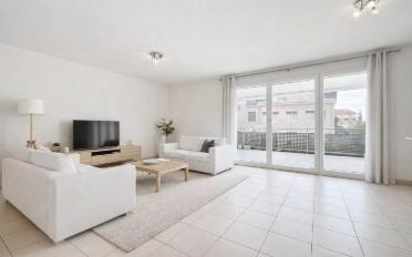Wohnung 3.5 Zimmer - image - 1