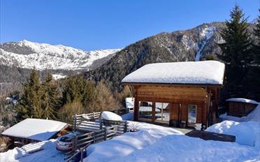 Chalet 10 rooms - image - 9