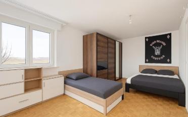 Maison 11.5 pièces - image - 6