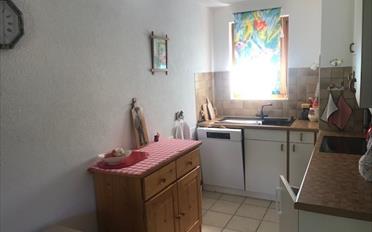 Duplex 3.5 rooms - image - 6