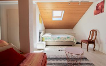 Appartement - image - 14