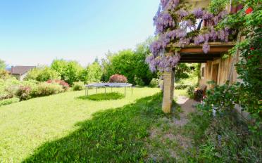Single house - image - 4
