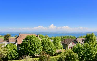 Single house - image - 6