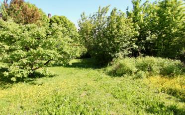 Single house - image - 10