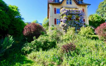 Single house - image - 3