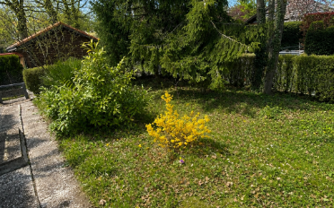 Doppeleinfamilienhaus 6 Zimmer - image - 9