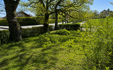 Doppeleinfamilienhaus 6 Zimmer - image - 10