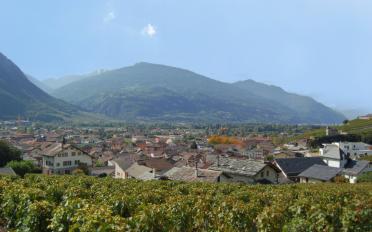 Wohnung 3.5 Zimmer - image - 5