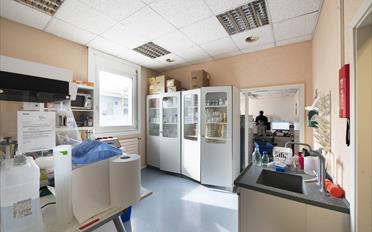 Büro - image - 4