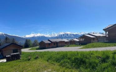 Chalet 4.5 Zimmer - image - 2