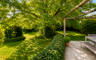 Maison 7.5 pièces - image - 5