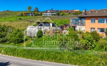 Reihenfamilienhaus 5.5 Zimmer - image - 3