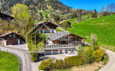Chalet 10 pièces - image - 2