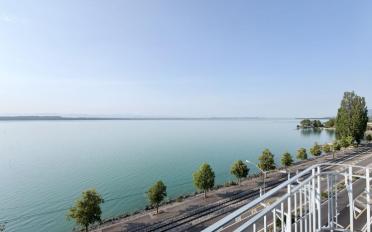 Wohnung 4 Zimmer - image - 4