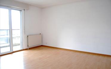 Wohnung 2.5 Zimmer - image - 2