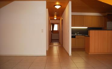 Immeuble résidentiel 20.5 pièces - image - 13
