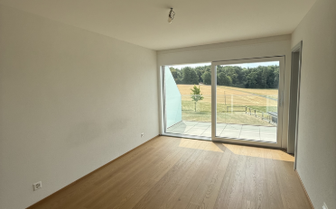 Einfamilienhaus 4.5 Zimmer - image - 6