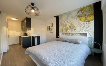 Appartement meublé 1 pièce - image - 2