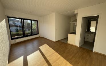 Wohnung ein Zimmer - image - 1