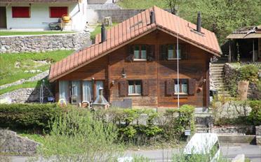 Chalet 5.5 rooms - image - 2