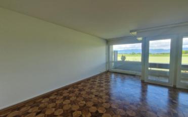 Wohnung 3 Zimmer - image - 5