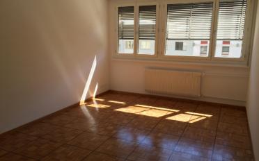 Wohnung 5 Zimmer - image - 2