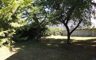 Single house 10 rooms - image - 8