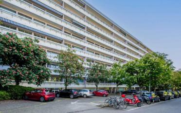 Apartment 6 rooms - image - 10