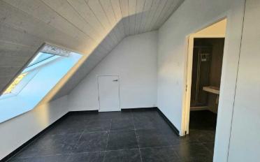 Attic flat 2.5 rooms - image - 4