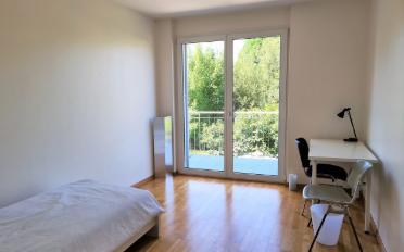 Chambre 1 pièce - image - 1