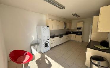 Attic flat 5.5 rooms - image - 8