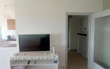 Wohnung 3 Zimmer - image - 4