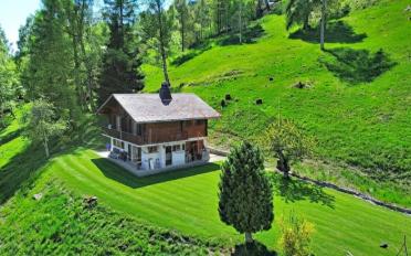 Chalet 4.5 rooms - image - 1