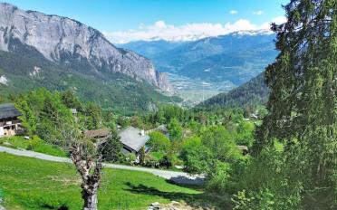 Chalet 4.5 rooms - image - 2