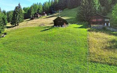 Chalet 1 room - image - 3