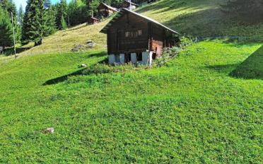 Chalet 1 room - image - 1