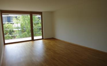 Attikawohnung 5.5 Zimmer - image - 3