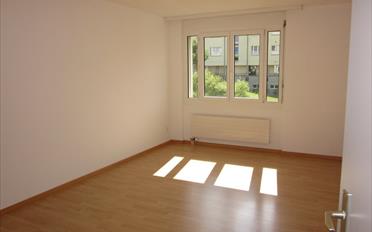 Wohnung 3.5 Zimmer - image - 3